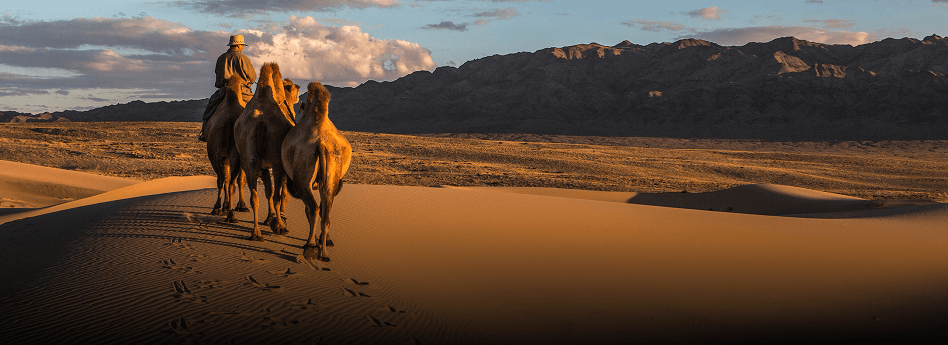 Whether you’re ready to book your next Enduro expedition or just curious to learn more — we’d love to hear from you.